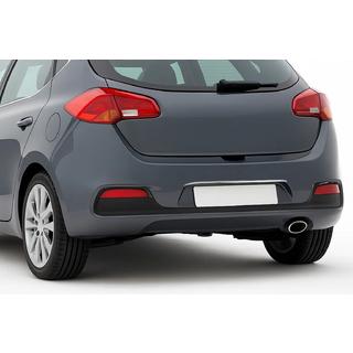 Chrome trim above license plate for HB (stainless steel) photo 1