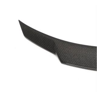 Spoiler V7 (SD, Carbon) photo 2