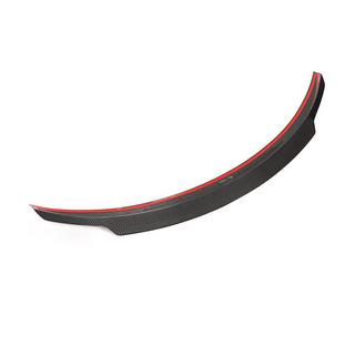 Spoiler V7 (SD, Carbon) photo 4