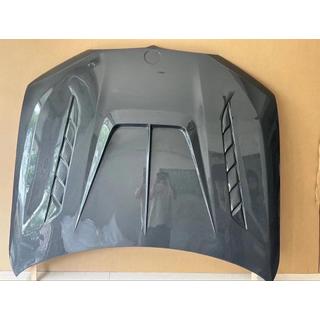 Hood (Carbon) photo 4