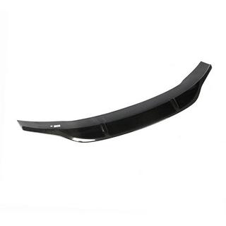 Spoiler V2 (for SD, Carbon) photo 3