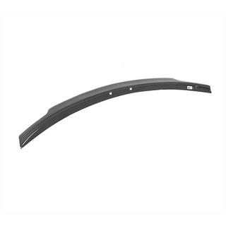 Spoiler V3 (for SD, Carbon) photo 4