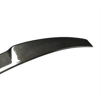 Spoiler V5 (for SD, Carbon) photo 2