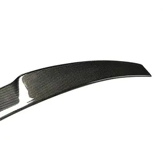 Spoiler V5 (for SD, Carbon) photo 2