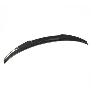 Spoiler V5 (for SD, Carbon) photo 3