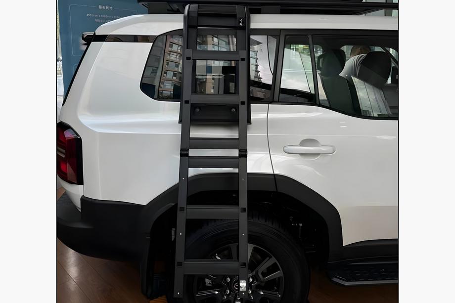 Toyota Land Cruiser Prado 250 2023- Side Ladder Image
