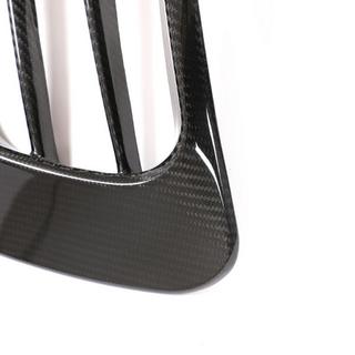 Fog Light Covers V1 (2020+, Dry Carbon) photo 4