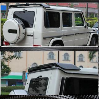 Spoiler V1 (Carbon) photo 3