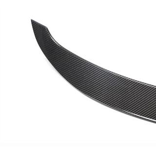 Spoiler (Carbon) photo 3