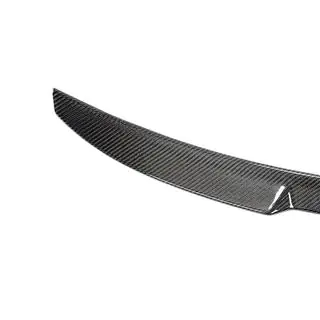 Spoiler V1 (for 2018-2020, Carbon) photo 3