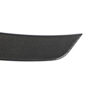 Spoiler V2 (for 2018-2020, Carbon) photo 4