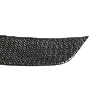 Spoiler V2 (for 2018-2020, Carbon) photo 4