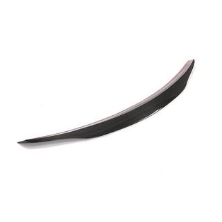 Spoiler V1 (for 2011-2020, Carbon) photo 3