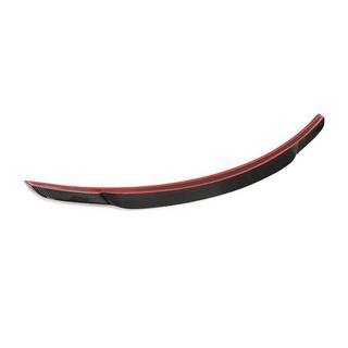 Spoiler V2 (for 2011-2020, Carbon) photo 4