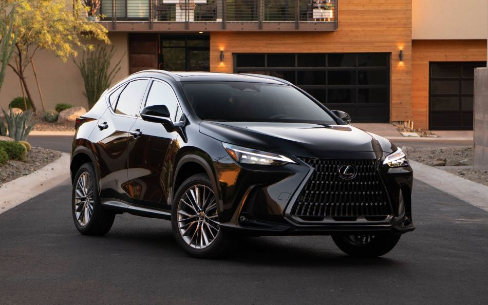 Lexus NX II: Review of the premium crossover