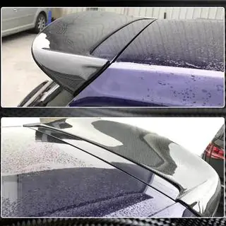 Spoiler V3 (for GTI/R HB, Carbon) photo 4
