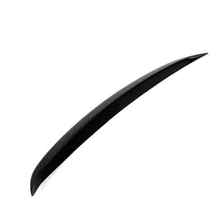 Spoiler V5 (for Base/R-Line HB, Carbon) photo 4