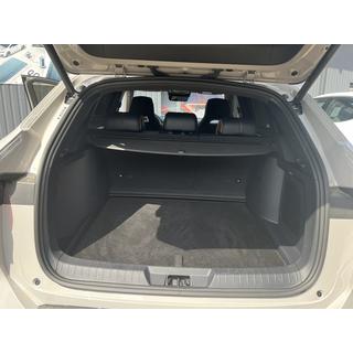 Premium Textile Trunk Mat (for BYD Song Plus EV, Black) photo 3