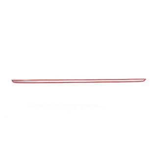 Trunk Trim R56 Stainless Steel photo 4