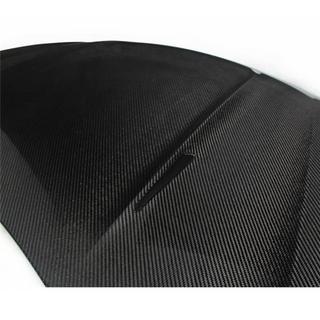 Hood (for HB 2010-2013, Carbon) photo 4