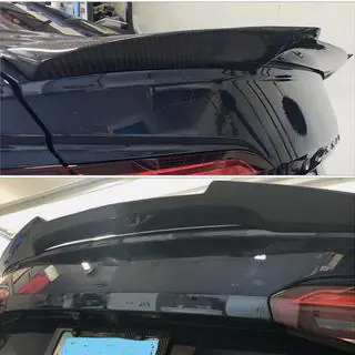 Spoiler (Carbon) photo 2