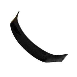 Spoiler V2 (for 2013-2020, Carbon) photo 4
