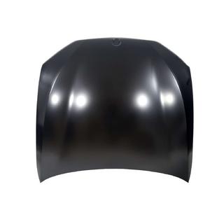 Hood (Aluminum) photo 1