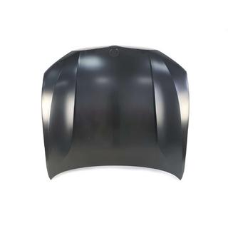 Hood (Aluminum) photo 1