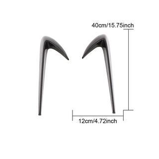 Carbon Front Fender Covers photo 3