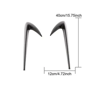 Carbon Front Fender Covers photo 3