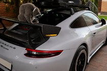 Porsche 911 (991) 2011–2019 Spoiler V4 (Carbon) photo 2