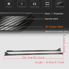 Porsche Panamera 2009-2016 Side Skirts V2 (2009-2013, Carbon) photo 5