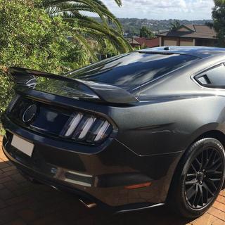 Spoiler V1 (Carbon) photo 2