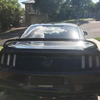 Spoiler V1 (Carbon) photo 3