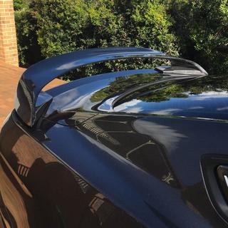 Spoiler V1 (Carbon) photo 4
