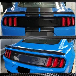 Spoiler V4 (Carbon) photo 4