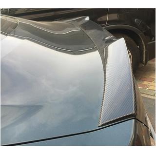 Spoiler V5 (Carbon) photo 3