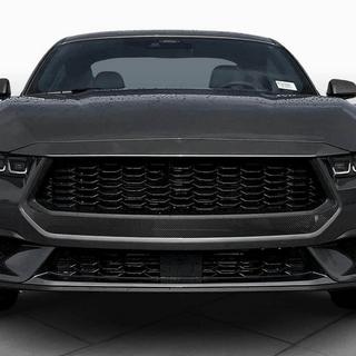 Front Grille (for S650, Carbon) photo 2