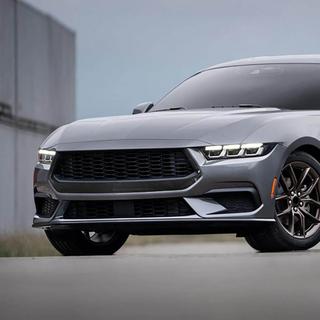 Front Grille (for S650, Carbon) photo 3