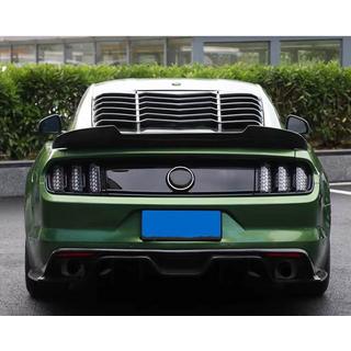 Spoiler V7 (Carbon) photo 4
