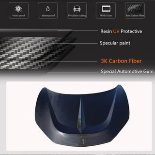 Hood (2011-2013, Carbon) photo 3