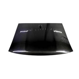 Carbon Roof Cover Nissan 400Z 2022- photo 2