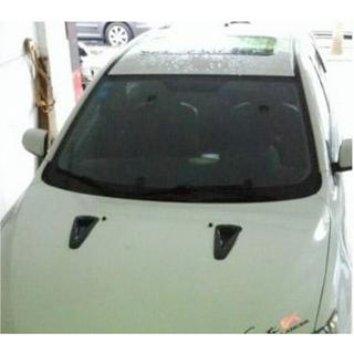 Hood Covers (2012-2015, Carbon) photo 4