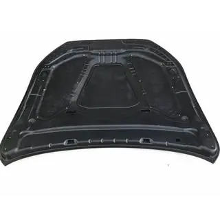 Hood (2014-2020, Carbon) photo 4