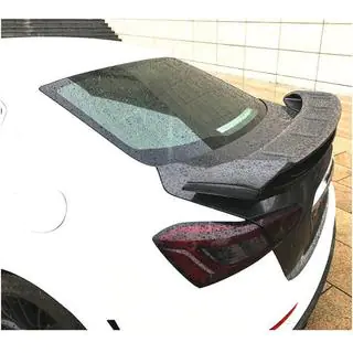 Spoiler V1 (Carbon) photo 2