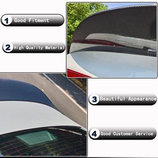 Spoiler V1 (Carbon) photo 3