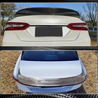 Spoiler V2 (Carbon) photo 3