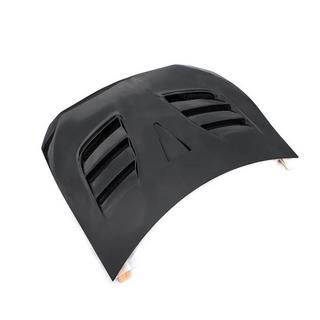 Hood (Carbon) photo 2