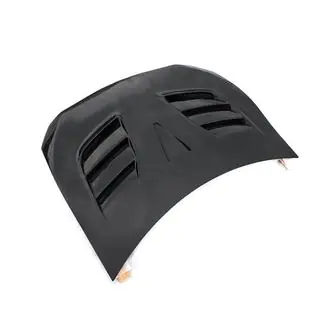 Hood (Carbon) photo 2