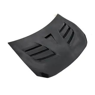 Hood (Carbon) photo 3